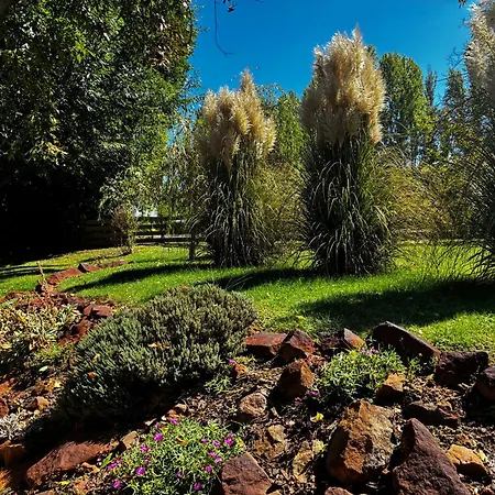 Casa de Férias Pomale *