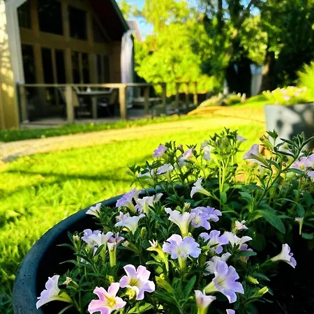 Pomale Vendeghaz Σπίτι διακοπών